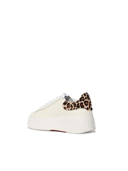 Sneakers Moby 04 in pelle Ash | MOBY04